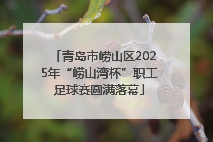 青岛市崂山区2025年“崂山湾杯”职工足球赛圆满落幕