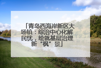 青岛西海岸新区大场镇：综治中心化解民忧，绘就基层治理新“枫”景