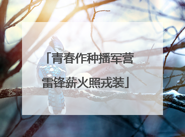 青春作种播军营 雷锋薪火照戎装