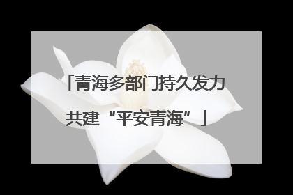 青海多部门持久发力共建“平安青海”