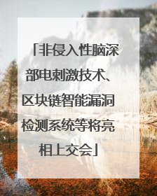 非侵入性脑深部电刺激技术、区块链智能漏洞检测系统等将亮相上交会