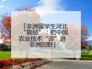非洲留学生河北“取经”：把中国农业技术“译”进非洲田野