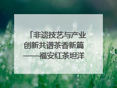 非遗技艺与产业创新共谱茶香新篇——福安红茶坦洋工夫专场推介会在京举办