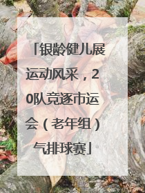 银龄健儿展运动风采，20队竞逐市运会（老年组）气排球赛