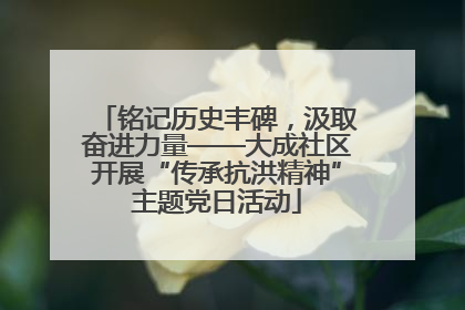 铭记历史丰碑，汲取奋进力量——大成社区开展“传承抗洪精神”主题党日活动