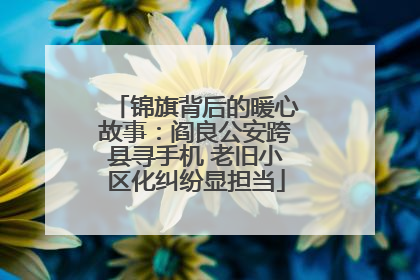 锦旗背后的暖心故事：阎良公安跨县寻手机 老旧小区化纠纷显担当