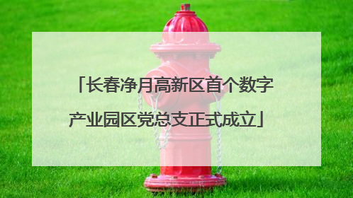 长春净月高新区首个数字产业园区党总支正式成立