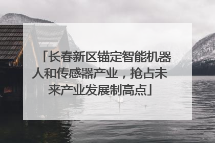 长春新区锚定智能机器人和传感器产业，抢占未来产业发展制高点