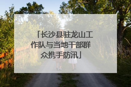 长沙县驻龙山工作队与当地干部群众携手防汛