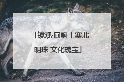 镜观·回响丨塞北明珠 文化瑰宝