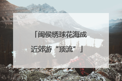 闽侯绣球花海成近郊游“顶流”