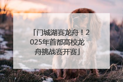 门城湖赛龙舟！2025年首都高校龙舟挑战赛开赛