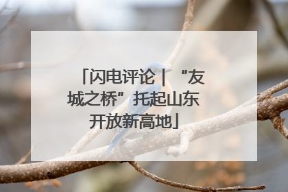 闪电评论｜“友城之桥”托起山东开放新高地