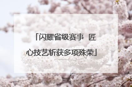 闪耀省级赛事  匠心技艺斩获多项殊荣