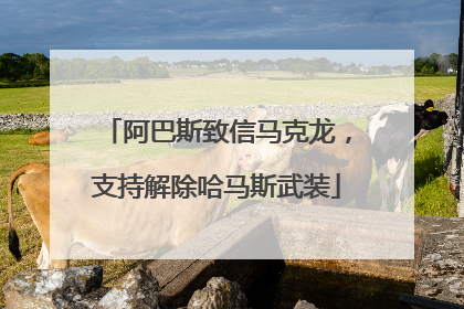 阿巴斯致信马克龙，支持解除哈马斯武装