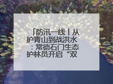 防汛一线丨从护青山到战洪水：常德石门生态护林员开启“双重守护”模式