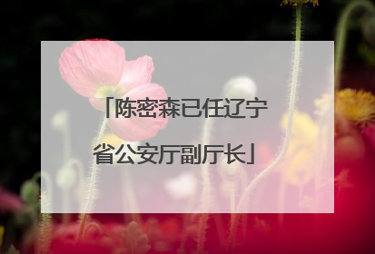 陈密森已任辽宁省公安厅副厅长