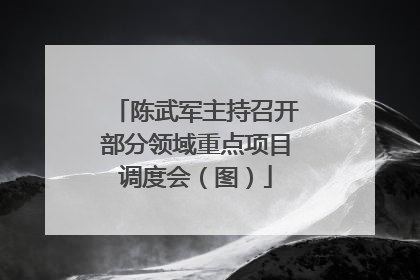 陈武军主持召开部分领域重点项目调度会（图）