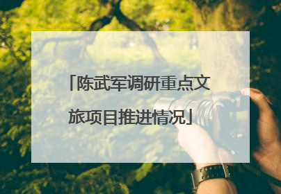 陈武军调研重点文旅项目推进情况