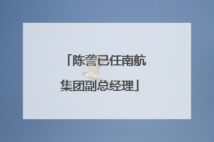 陈詟已任南航集团副总经理