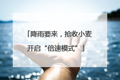 降雨要来，抢收小麦开启“倍速模式”