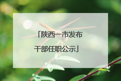 陕西一市发布干部任职公示