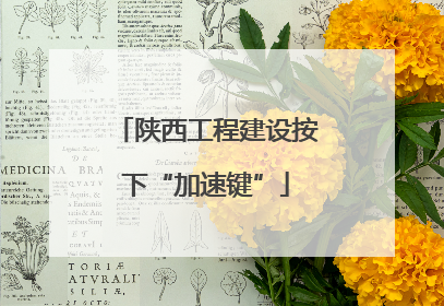 陕西工程建设按下“加速键”