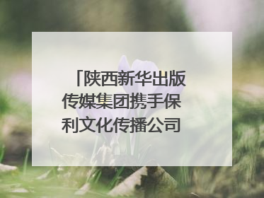 陕西新华出版传媒集团携手保利文化传播公司打造“时间典藏”数字艺术馆