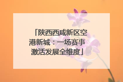 陕西西咸新区空港新城：一场赛事激活发展全维度