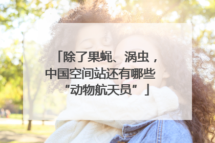 除了果蝇、涡虫，中国空间站还有哪些“动物航天员”