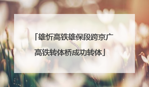 雄忻高铁雄保段跨京广高铁转体桥成功转体