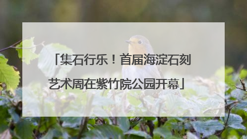 集石行乐！首届海淀石刻艺术周在紫竹院公园开幕