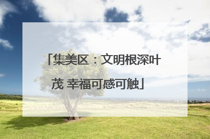 集美区：文明根深叶茂 幸福可感可触