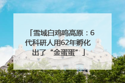 雪域白鸡鸣高原：6代科研人用62年孵化出了“金蛋蛋”