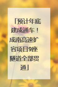 预计年底建成通车！成南高速扩容项目9座隧道全部贯通