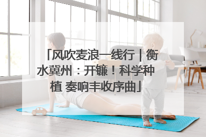 风吹麦浪一线行｜衡水冀州：开镰！科学种植 奏响丰收序曲