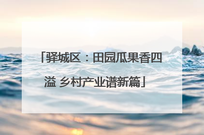 驿城区：田园瓜果香四溢 乡村产业谱新篇