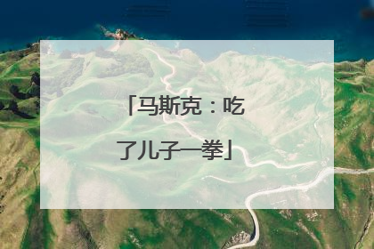 马斯克：吃了儿子一拳