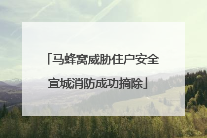 马蜂窝威胁住户安全 宣城消防成功摘除