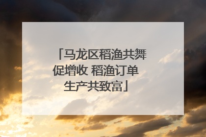 马龙区稻渔共舞促增收 稻渔订单生产共致富