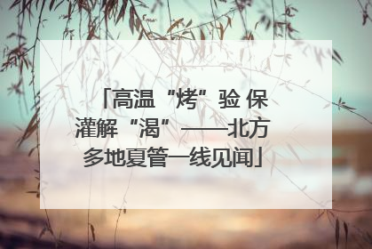 高温“烤”验 保灌解“渴”——北方多地夏管一线见闻