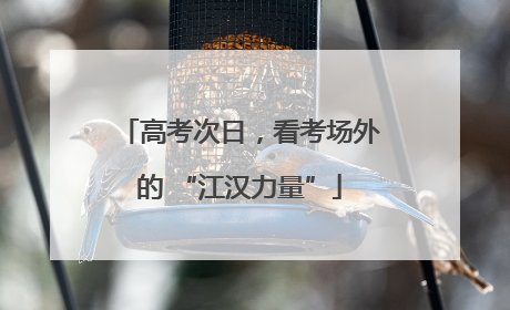 高考次日，看考场外的 “江汉力量”