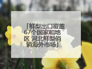 鲜梨出口覆盖67个国家和地区 河北鲜梨俏销海外市场