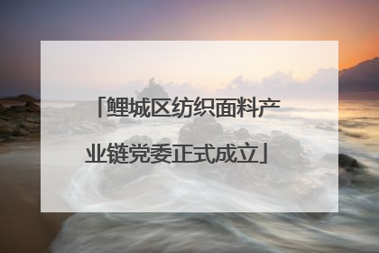 鲤城区纺织面料产业链党委正式成立