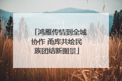 鸿雁传情到全域协作 甬库共绘民族团结新图景