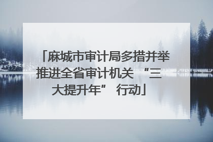 麻城市审计局多措并举推进全省审计机关 “三大提升年” 行动