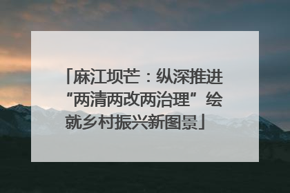 麻江坝芒：纵深推进“两清两改两治理”绘就乡村振兴新图景