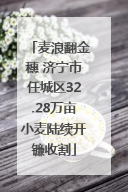 麦浪翻金穗 济宁市任城区32.28万亩小麦陆续开镰收割
