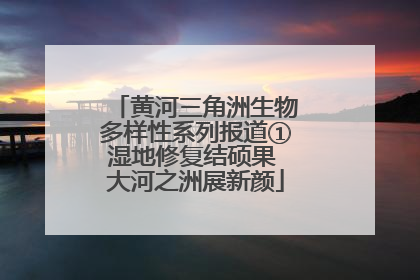 黄河三角洲生物多样性系列报道①湿地修复结硕果 大河之洲展新颜