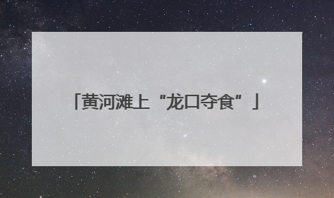 黄河滩上“龙口夺食”